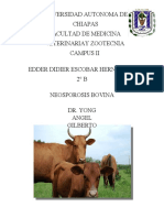 Informatica Veterinaria