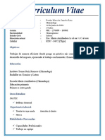 Curriculum de Cristhian y Mauricio Vecinos