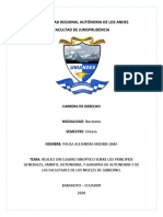 Cuadro Sinoptico Sobre Los Principios Generales, Ambito, Autonomia, y Garantia de Autonomia y de Las Facultades de Los Niveles de Gobierno.