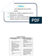 Neurociencia y Aprendizaje