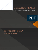 Extincion de La Propiedad I - 20191120202327