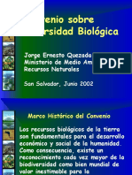 Convenio de Diversidad Biologica