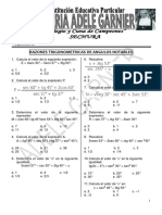 RT Angulos Notables (1) Alexis Mimbla Silva 439 PDF