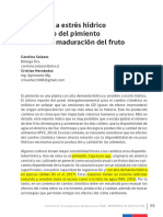 Respuesta A Estrés Hídrico - Pimiento