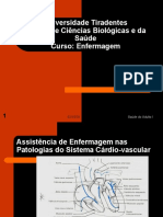 Assistência de Enfermagem Nas Patologias Do Sistema Cárdio-Vascular