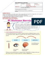 Naturales 4o GUIA C13 SISTEMA NERVIOSO