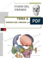 Tema 4 Huesos Del Craneo y Faciales II. Temporal y Esfenoides