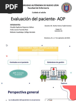 Aop - Cuidado Al Adulto