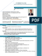 Leandro Anselmi, Inspector de Seguridad Industrial PDF