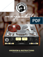 Magnetite PDF