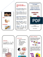 Triptico. Finl PDF