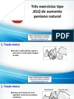 3 Exercícios Jelq Poderosos de Aumento Peniano Natural PDF