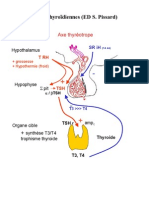 Hormones Thyroidiennes Ed