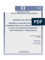 Informe Caña - Doc de Trabajo