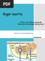 Rigor Mortis Muscle Physiology