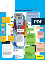 Infografía Que Evidencie Los Conceptos de Los Paradigmas de La Investigacion