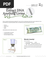 DNA Extraction - En.es