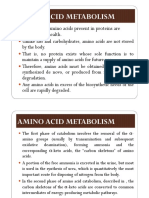 All 20 of The Amino Acids Present in Proteins Are Essential For Health