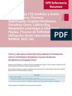 Opva 03 1919 Resumenopeenf T02e