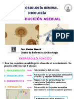 Reproducción Asexuada Fúngica