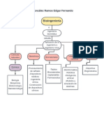 Mapa Mental de La Bioingeniería