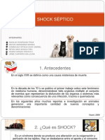 Shock Septico