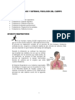 Guia de Anatomia 2