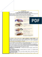 AGARRE LÁPIZ Cuadrípode y Trípode (3-6 Años) Con Estrategias