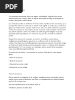 PDF Documento