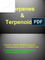 Terpen