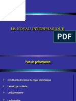 Noyau Interphasique