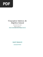 Conceptos Basicos de Algebra Lineal