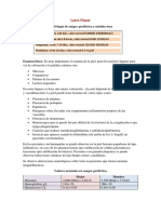 Morfología de Sangre Periférica y Médula Ósea