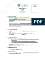 Modelo Hoja de Vida - Perfil Valores y Tipos P