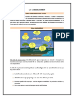 Fases Del Carbon