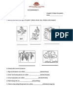 Grade 1 EVS Worksheet 1 - Chapter 2