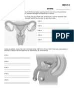 Quiz 3: SCORE