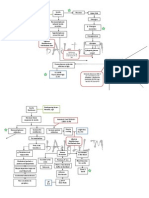 DM Type 2 Pa Tho Physiology