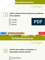 Autoevaluacion Zoologia