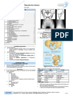 Imaging of The Reproductive System