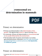 Sex Determination in Mammals