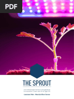 Libro The Sprout - Español