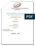 Analisis de RX Carpal PDF