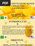 Presentación Exportación Pulpa de Mango para Alemania