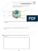 Naturales 5º ANAYA Ampliación PDF