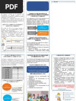 Elecciones Del CSST - 2019 - 2021 - Triptico