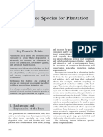 Selecting Tree Species For Plantation: Key Points To Retain