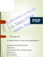 El Proceso Cautelar