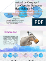 Diagnóstico Microbiológico de Las Infecciones Del Aparato Circulatorio. Hemocultivo