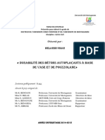 These Sur Beton AutoPlaquant PDF